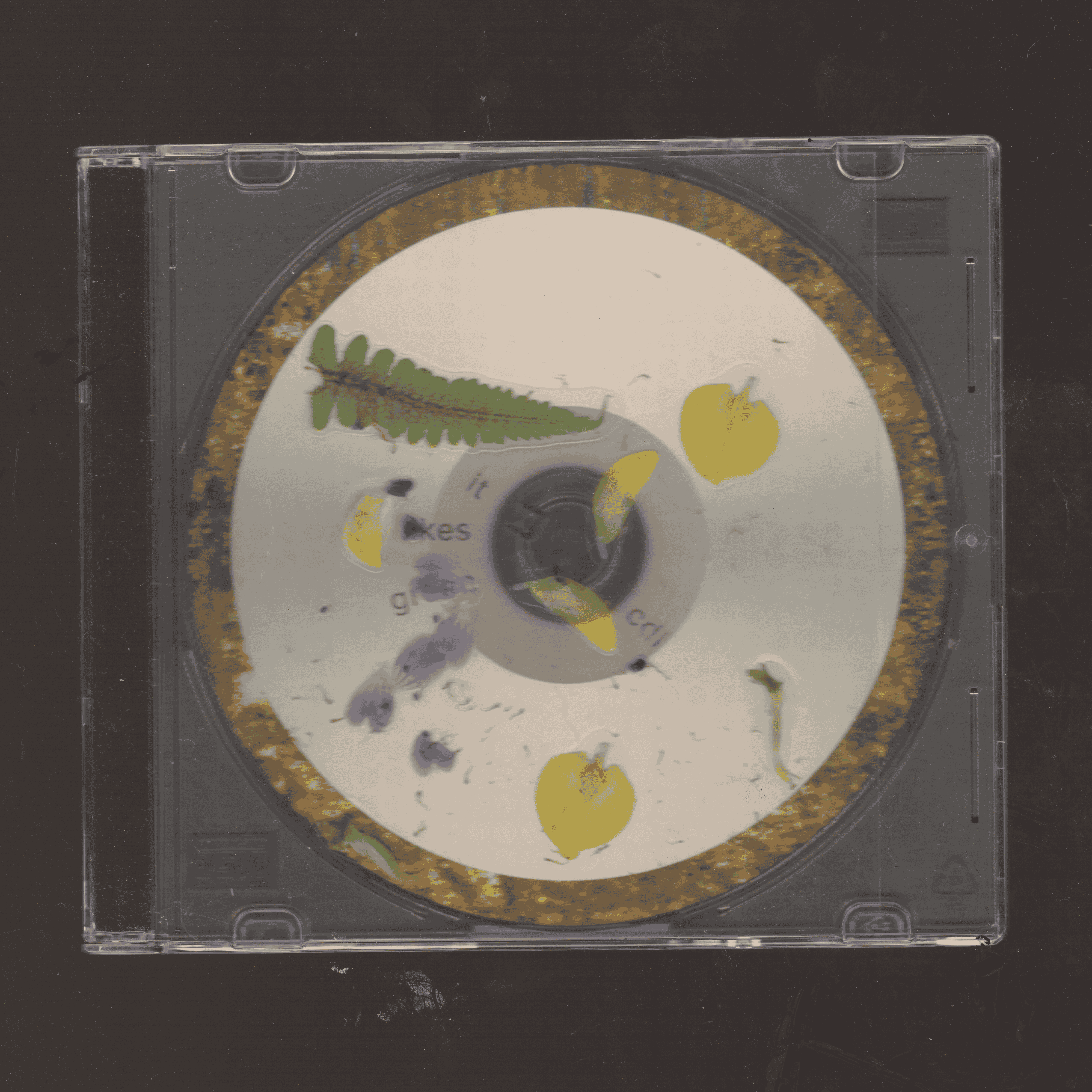 It likes green. CD