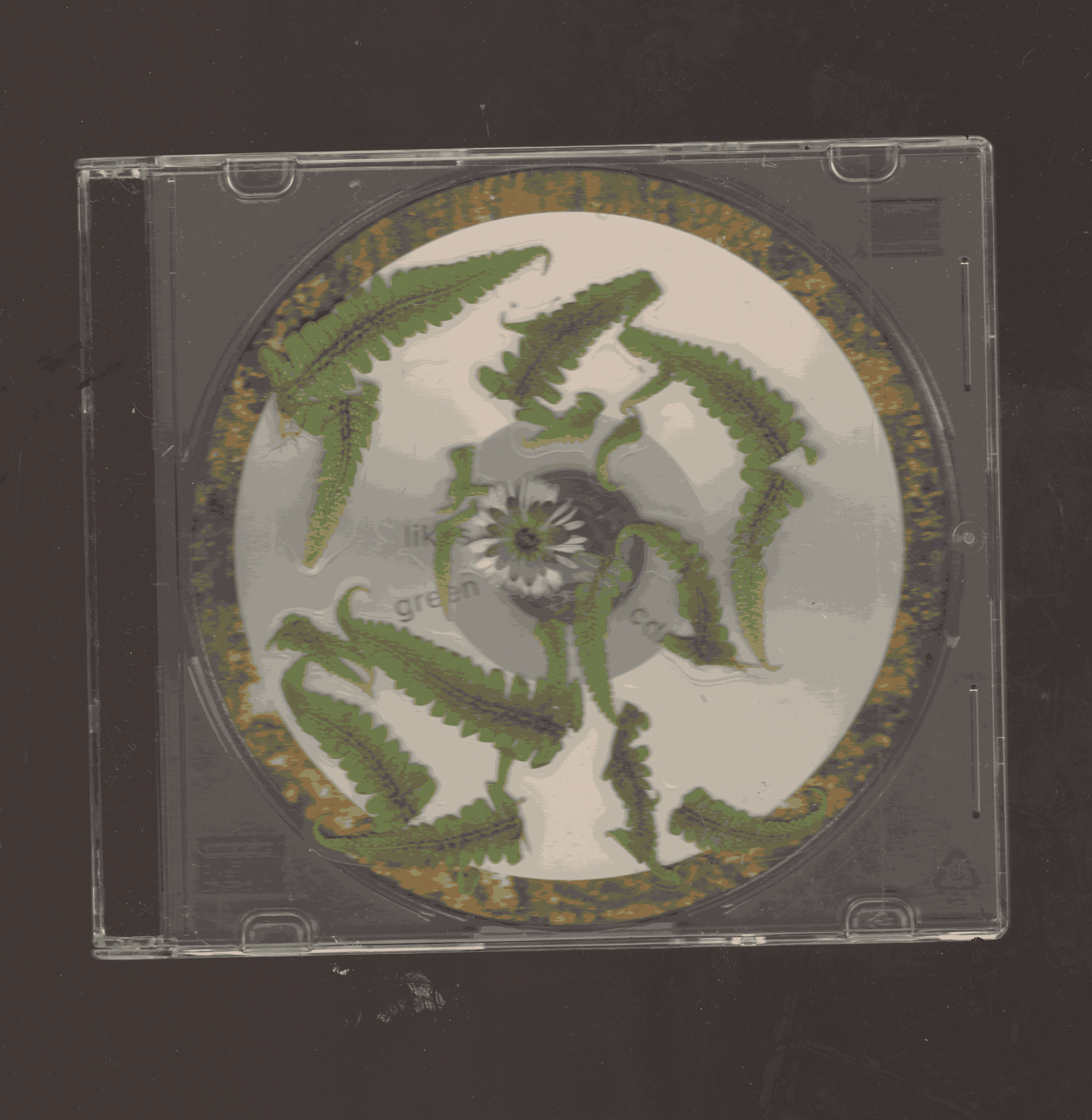It likes green. CD